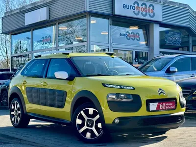 Citroën C4 Cactus · Kamera/PDC-hinten · AHK